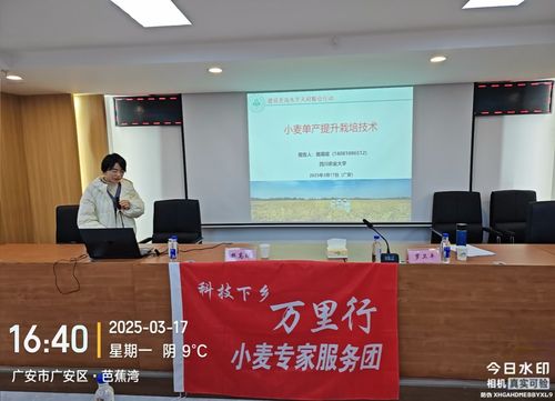 我校小麥專家在廣安開(kāi)展 天府糧倉(cāng) 百縣千片 小麥生產(chǎn)技術(shù) 培訓(xùn)會(huì)