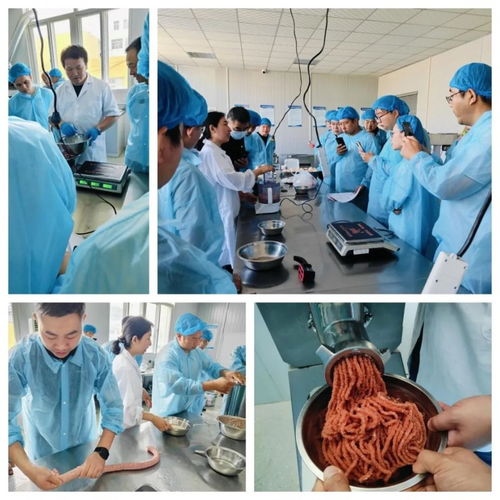 香腸加工技術(shù)培訓(xùn)班在煙臺成功舉辦 理論與實操結(jié)合助力學(xué)員掌握全套技術(shù)