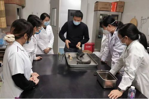 練就 火眼金睛 弘揚中醫(yī)文化 訪中藥鑒定能手黃慶寶